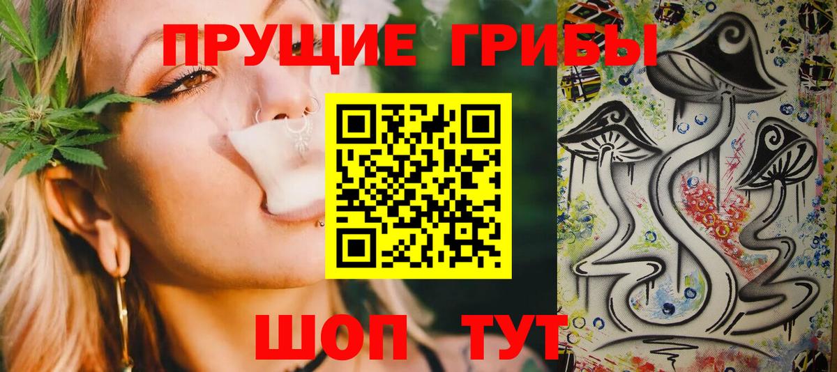 Псилоцибиновые грибы Psilocybine cubensis Южно-Сахалинск