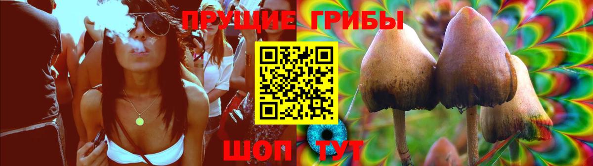 Галлюциногенные грибы Psilocybine cubensis  Вход с VPN  Южно-Сахалинск  Галлюциногенные грибы GOLDEN TEACHER 